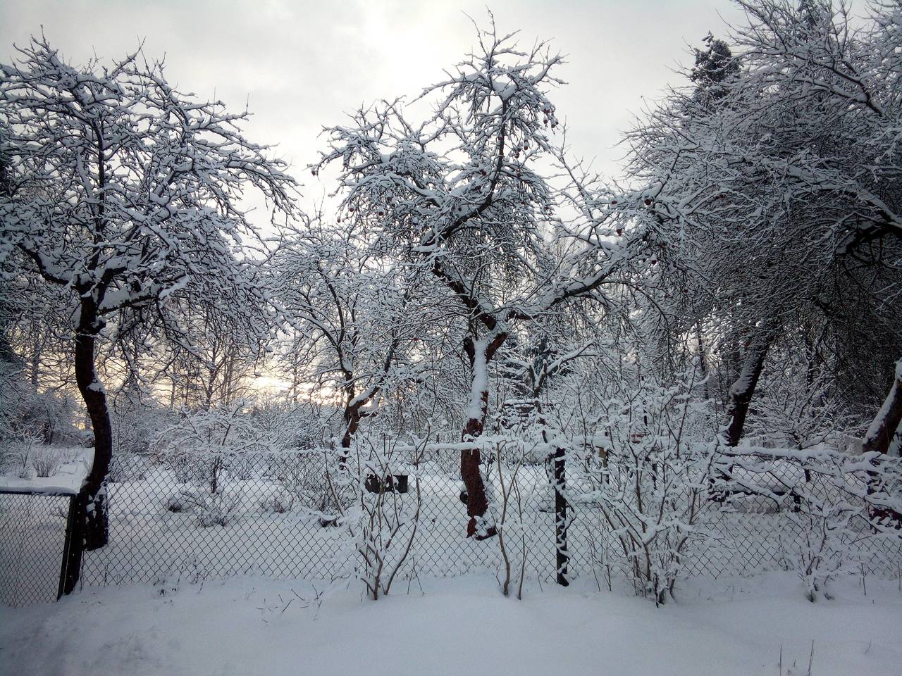 фото АЛЕКСАНДР