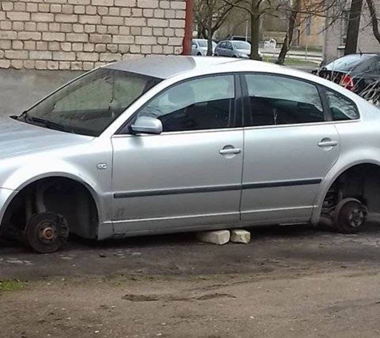 фото читателя