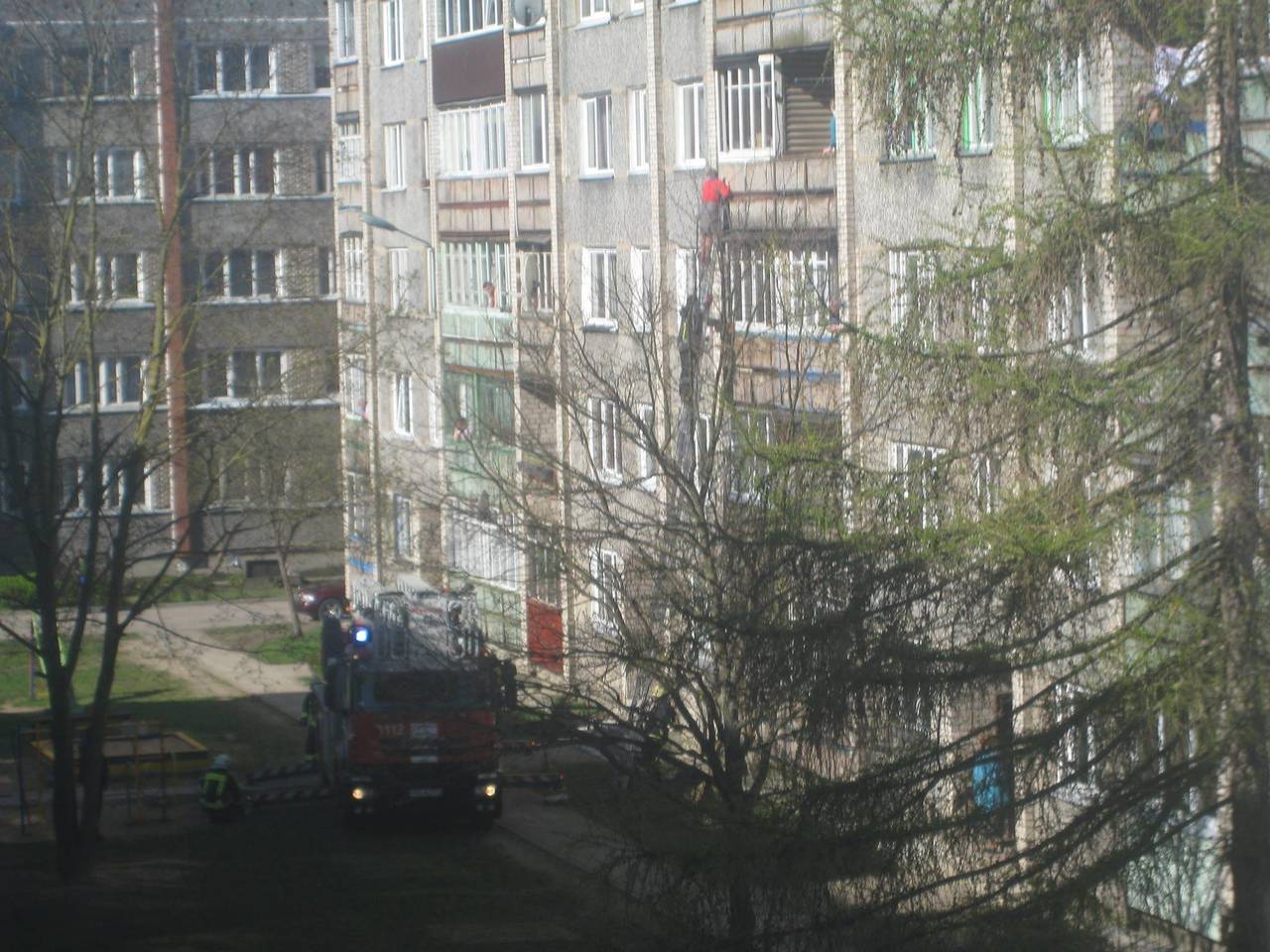 фото читателя