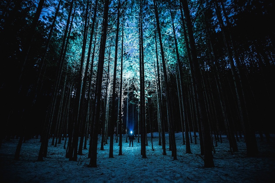 иллюстративное фото