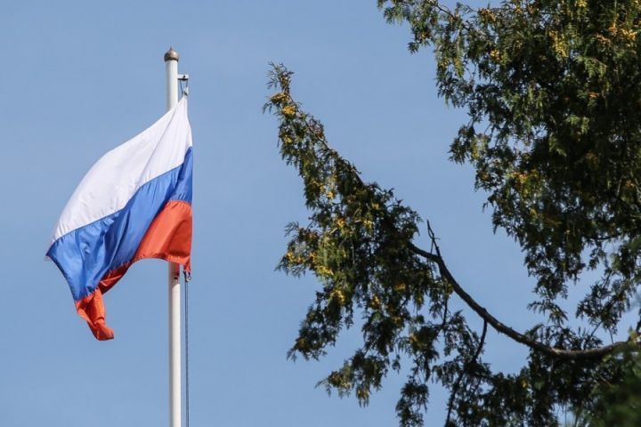 иллюстративное фото