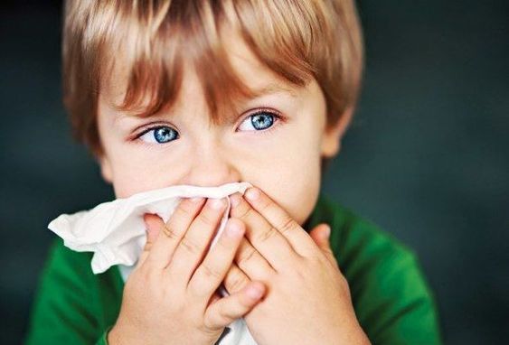 иллюстративное фото