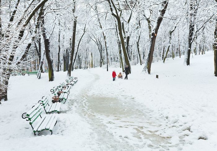 Иллюстративное фото
