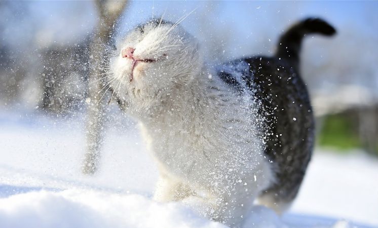 Иллюстративное фото