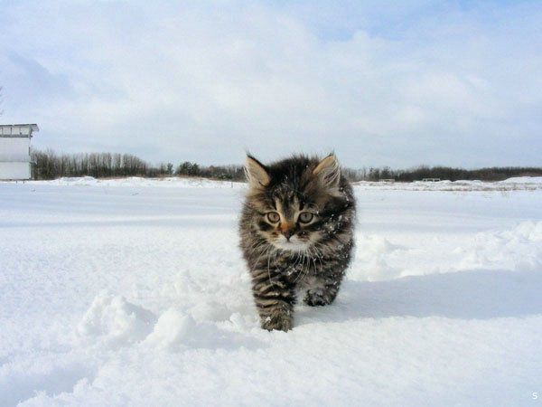 Иллюстративное фото