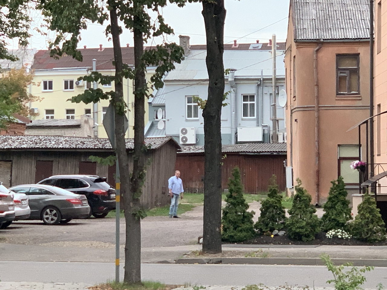 В.Дамбитис