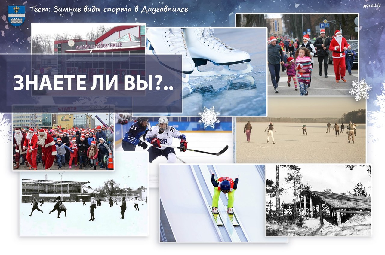 Дизайн: Маргарита Вигуле