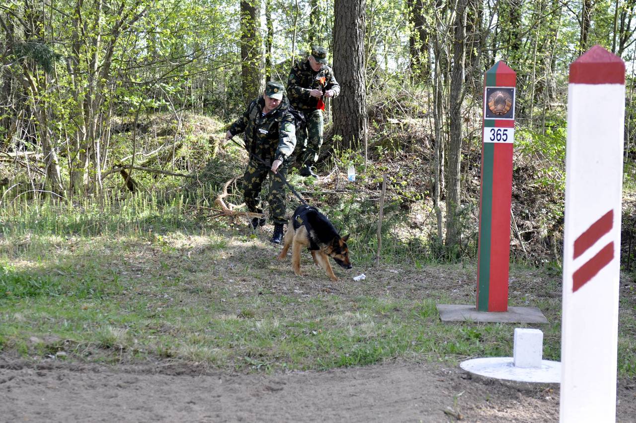 Иллюстративное фото