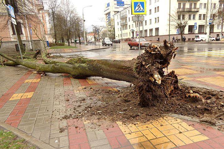 Иллюстративное фото