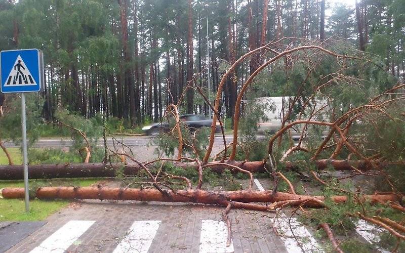 Иллюстративное фото
