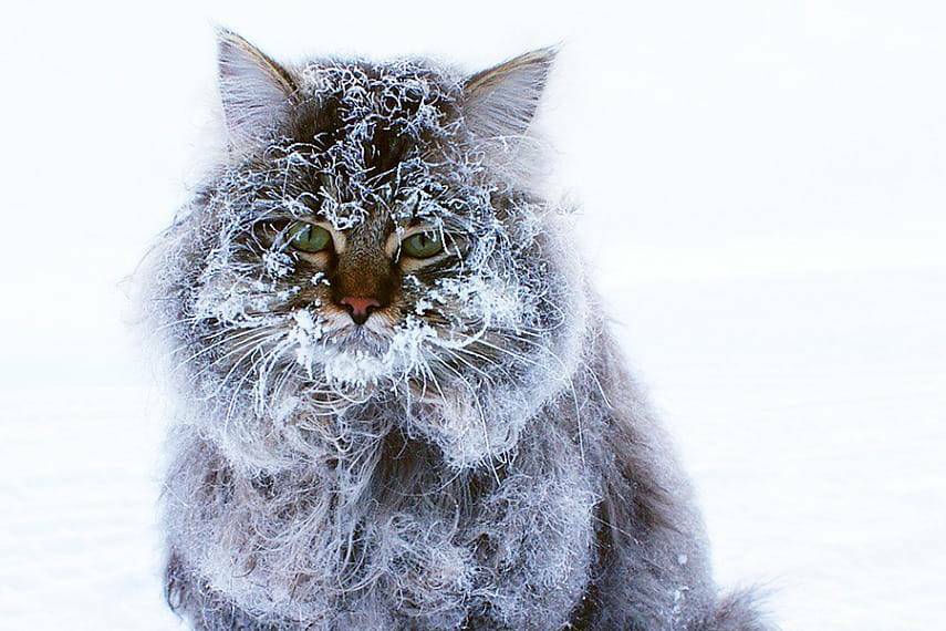 Иллюстративное фото