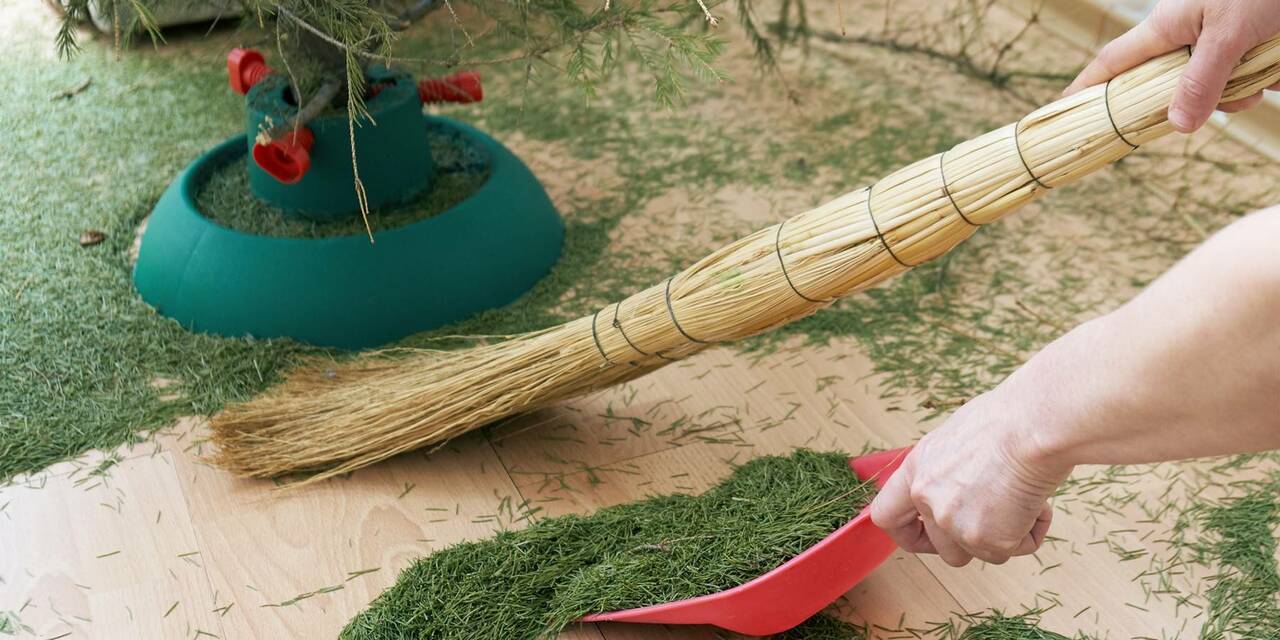 Иллюстративное фото