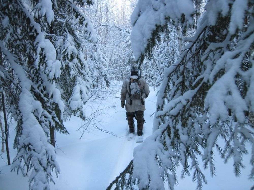 Иллюстративное фото