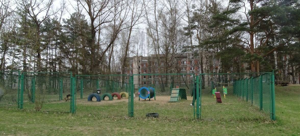 Площадка для выгула собак на Новом Строении