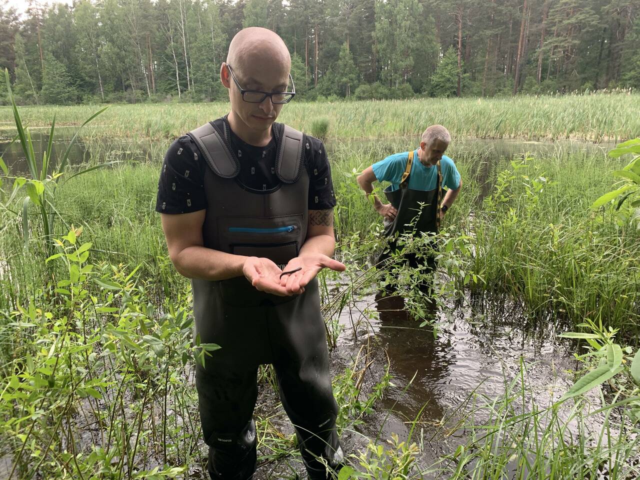 Medicīnas dēle (Foto: M. Kalniņš)