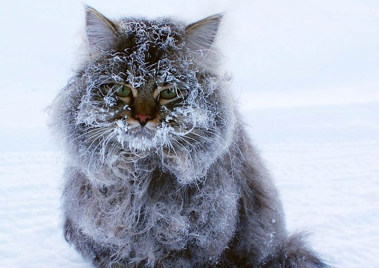 Иллюстративное фото
