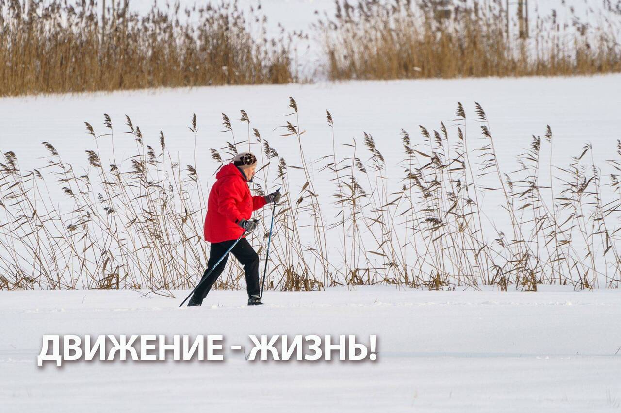 Бороться составлять. Борьба с клещом. Презентация на тему борьба. Борьба с клещом. Призентация на тему бор.