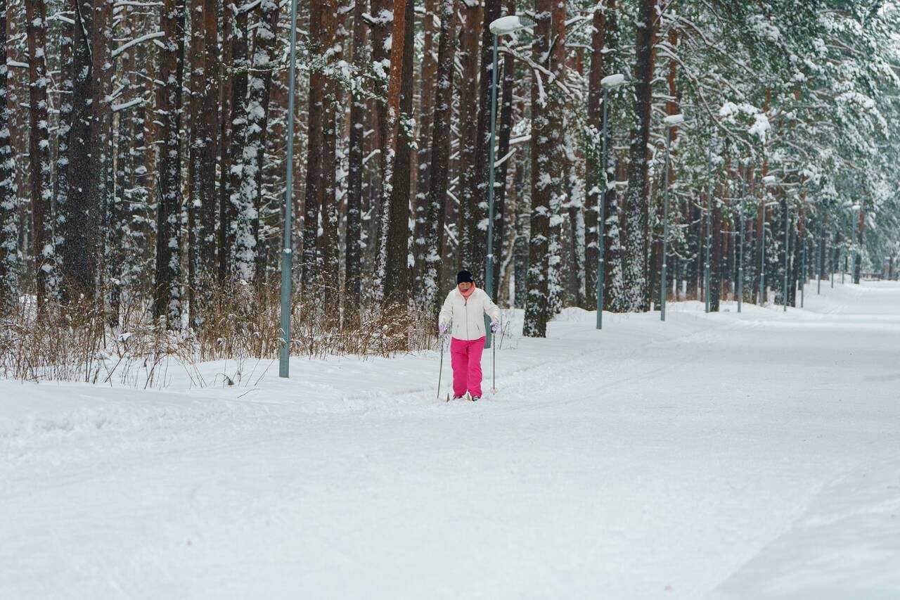 90 дней мм мгт. Режимы мгт. 90 дней мм мгт. Гарантия 90 дней круг. Проездной на наземный транспорт.