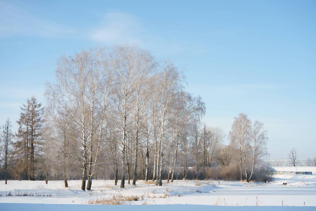 Низкая облачность. Опустилась над облаком. Опустилась над облаком. Корабль в небе. Белая ночь текст.