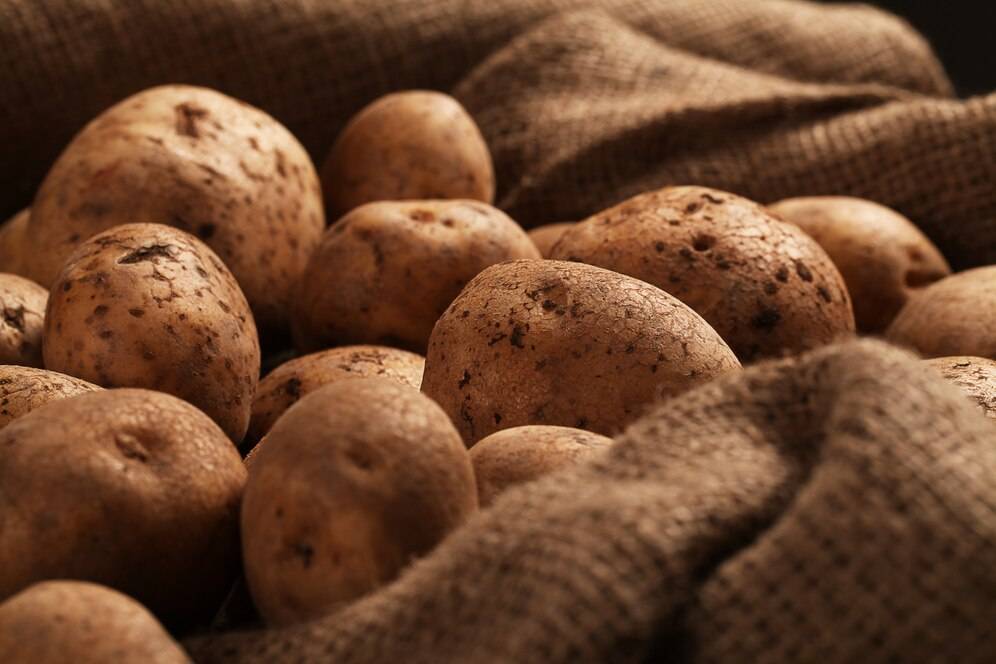 В Латвии хотят запретить российскую картошку