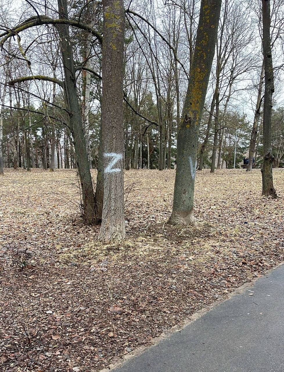 На деревьях в парке Айзпилсетас неизвестные лица нанесли краской буквы Z и V