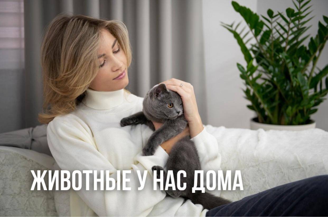 Опрос Gorod.lv: читатели оценили новые правила содержания домашних животных