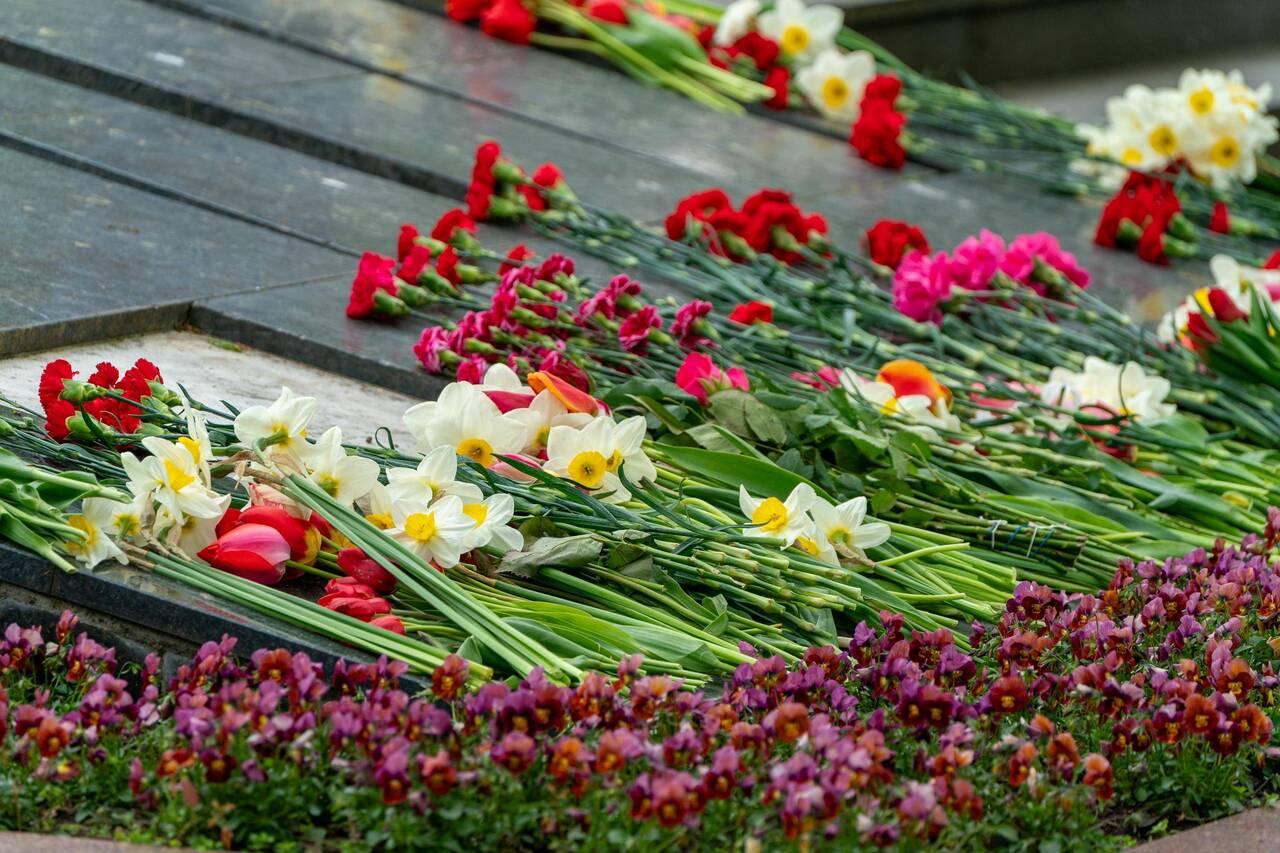 Женщина принесла в парк Дубровина цветы в цветовой гамме флага РФ. Начат административный процесс