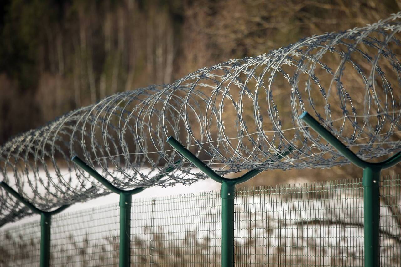 Нелегалы снова штурмуют границу Латвии: десятки случаев за выходные