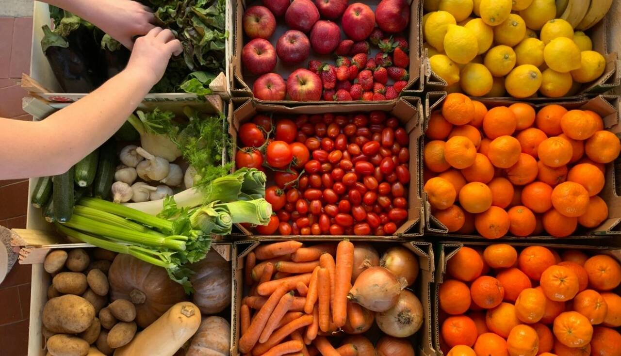 ПВС проверила более 400 предприятий и мест торговли свежими овощами, фруктами и ягодами