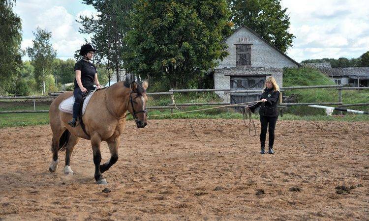 Бебрене приглашает на первые соревнования по конному спорту