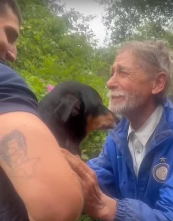 Полиция вернула украденного пса и задержала поджигателей (видео)
