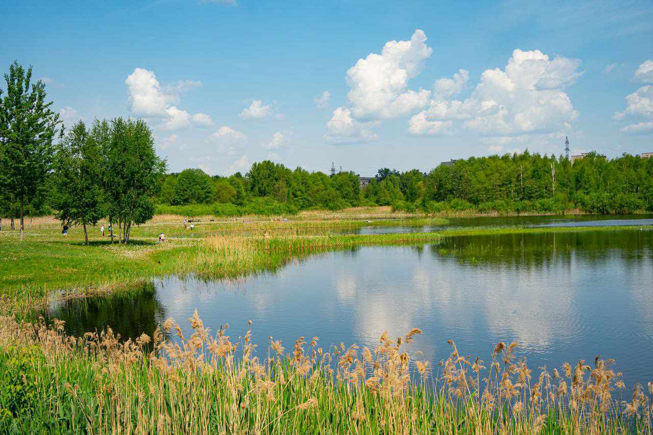 Среда, 7 августа: днём до +23°C, облачно с прояснениями