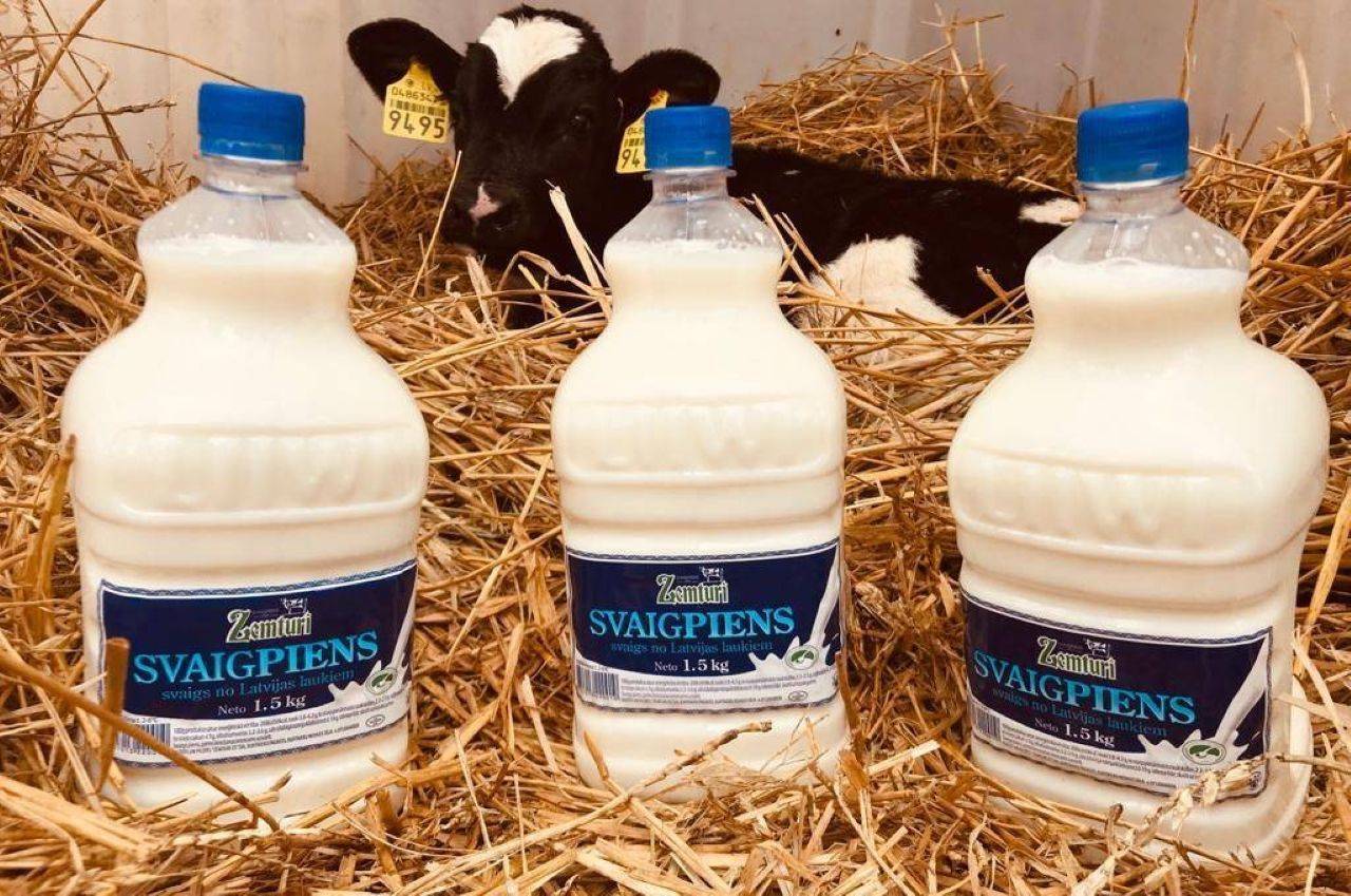 В магазинах Латвии сняли с продажи более пяти тонн сырого молока: на одной из ферм обнаружена лихорадка Q