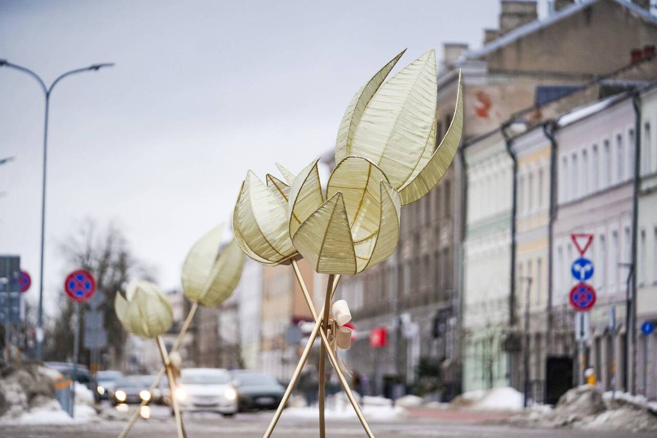 ☀️ Пятница, 13 марта: днем до +15 °C, ясно и без осадков