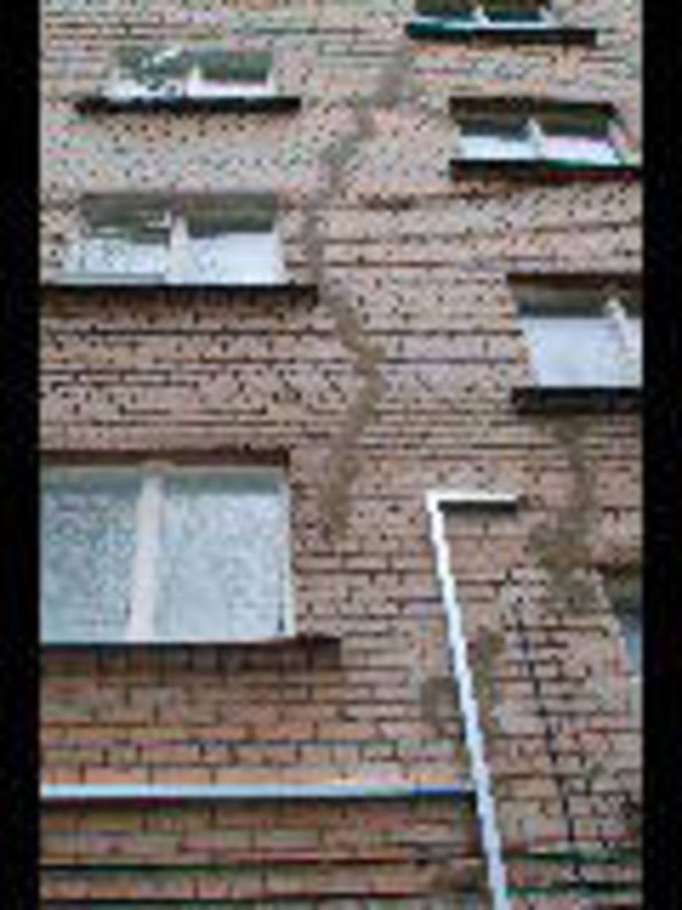 Фото Марии Срибной
