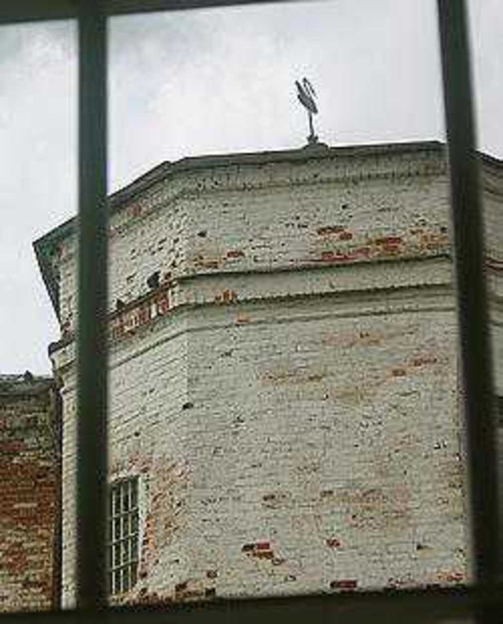 Светлана Гартованова