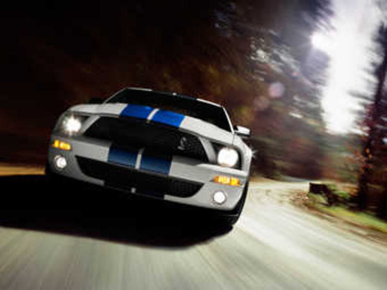 Ford Shelby GT500. Фото Ford