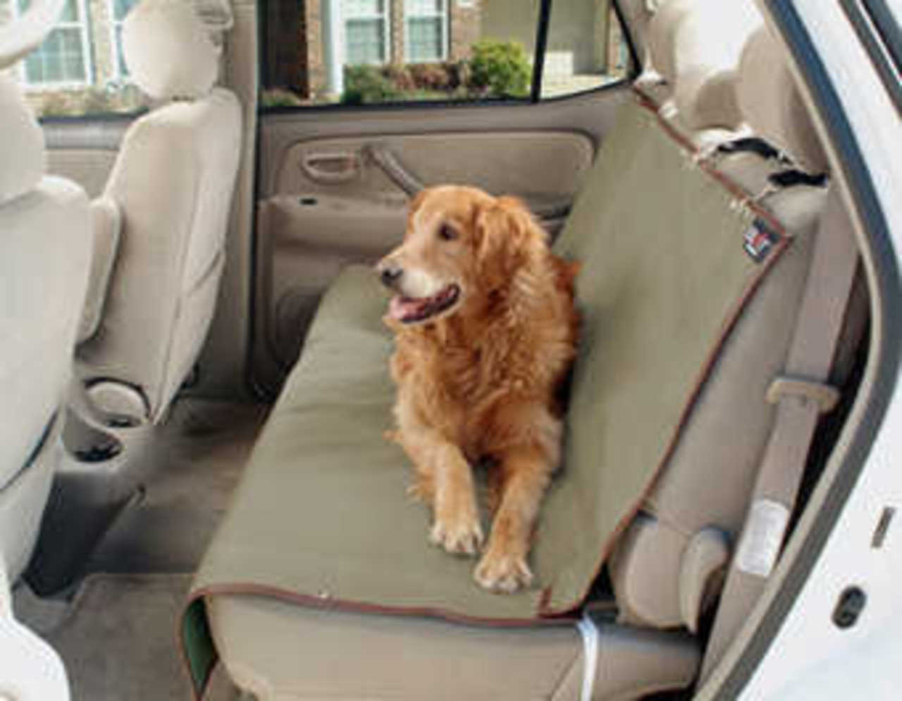 Фото с сайта Petwithpetcare.com