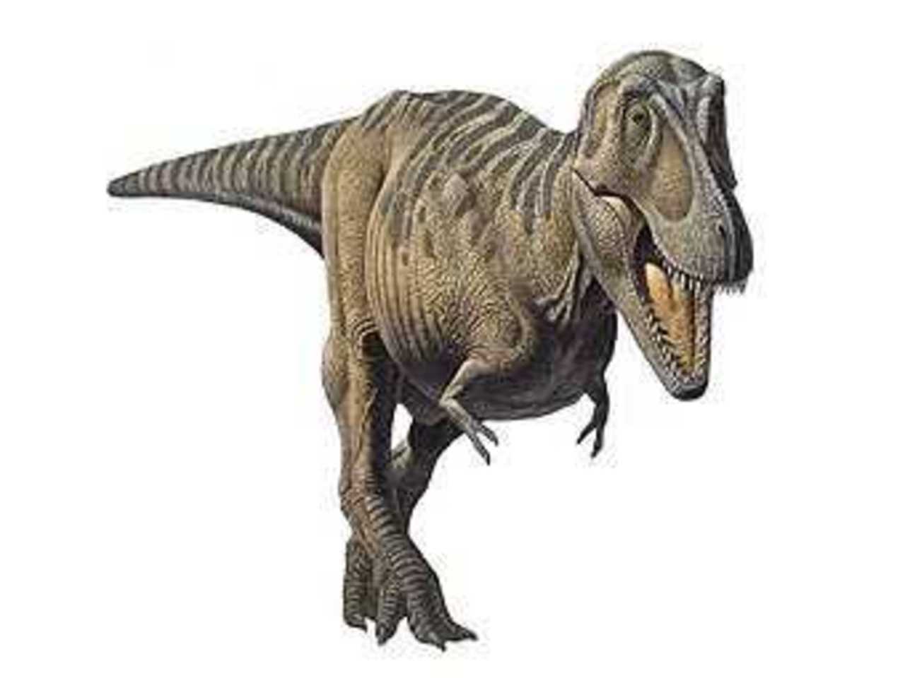 Реконструкция внешнего вида тарбозавра. Иллюстрация с сайта search4dinosaurs.com