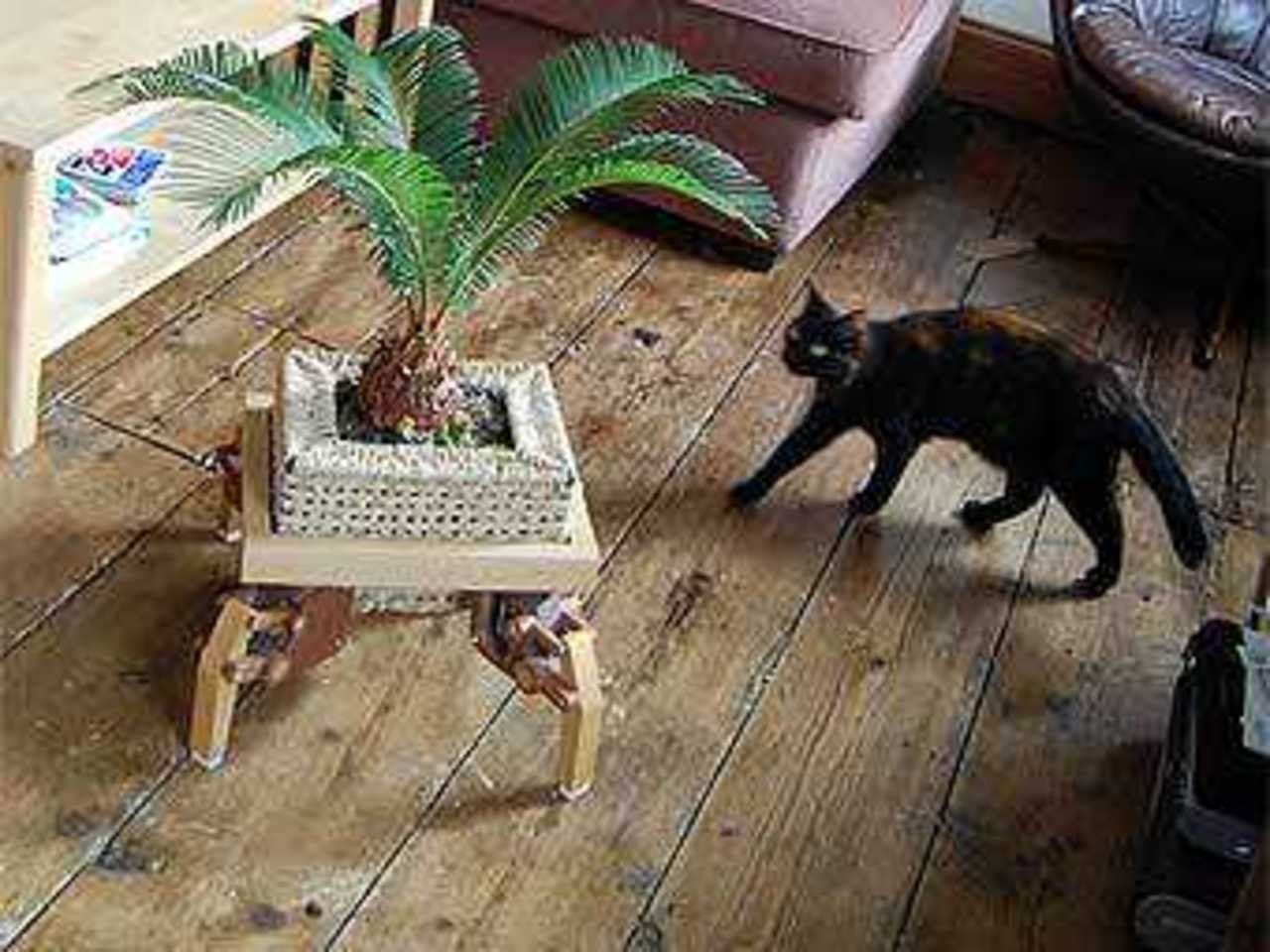 Plantbot, фото с сайта The Play Coalition
