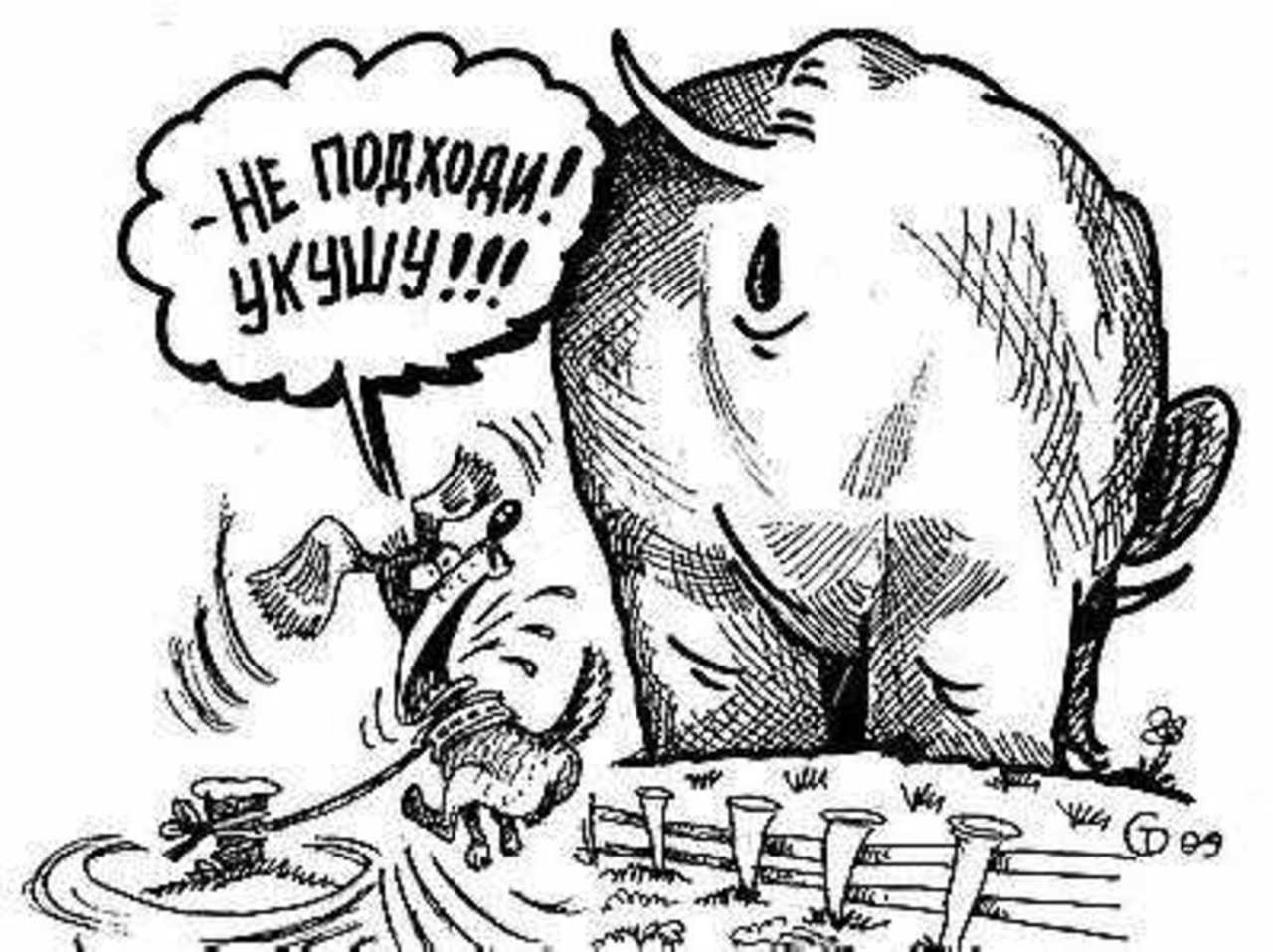 Рисунок Сергея Тюленева.