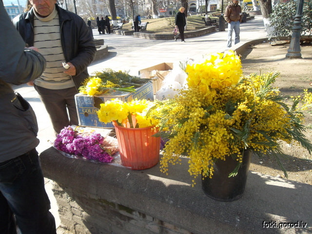 Выходные в грузии в марте. Желтые цветы в Грузии.