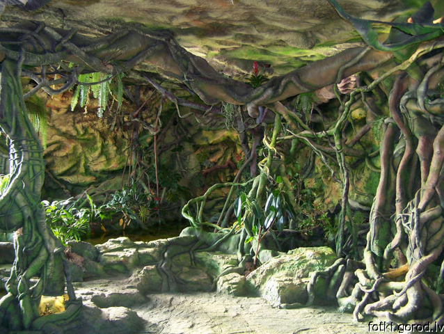 Латгальский зоопарк, экспозиция «Тропа джунглей»