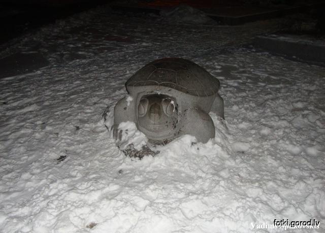 Черепаха под снегом