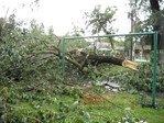 Ураган прошел по Елгавас