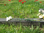 Возложение цветов в местах памяти и захоронения солдат и жертв нацизма