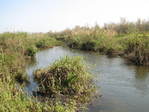 Одна из рек, впадающая в озеро Кинерет