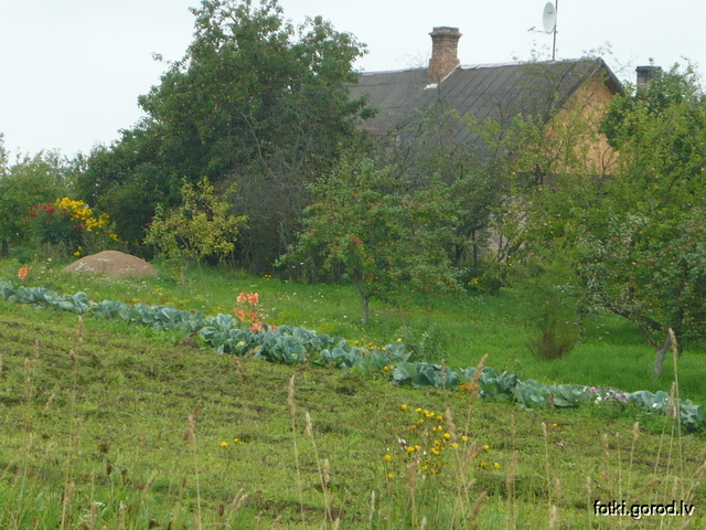 Сельский хутор