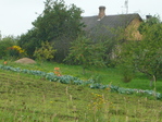Сельский хутор