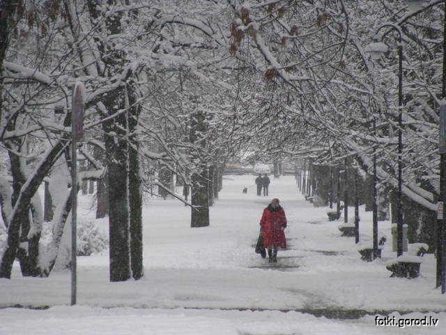 Зимний парк (2012)